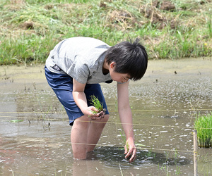 初めての田植えにドキドキ