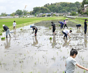 親子での田植え体験イベント